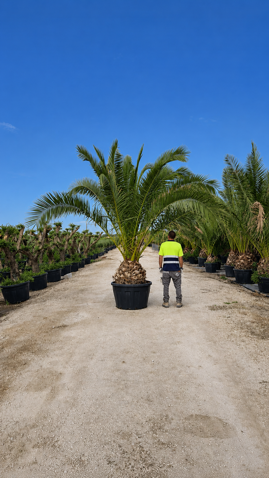 Plamier 10 Les Jardins du Monde